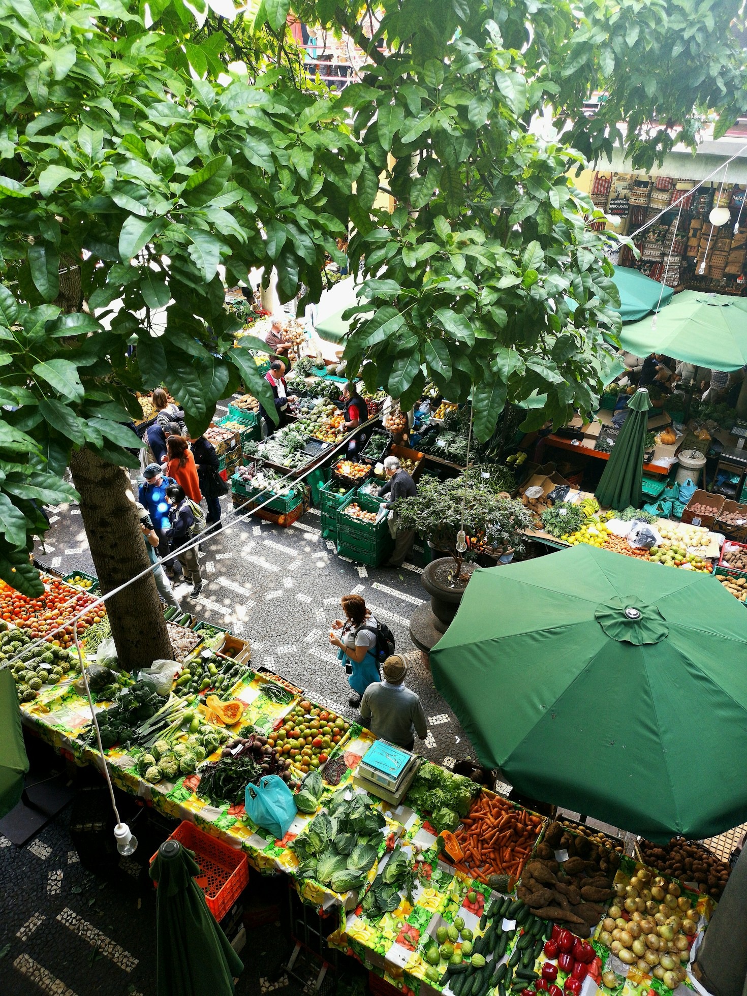 You are currently viewing Essential Tips for Choosing the Perfect Gift